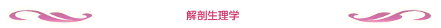 解剖生理学